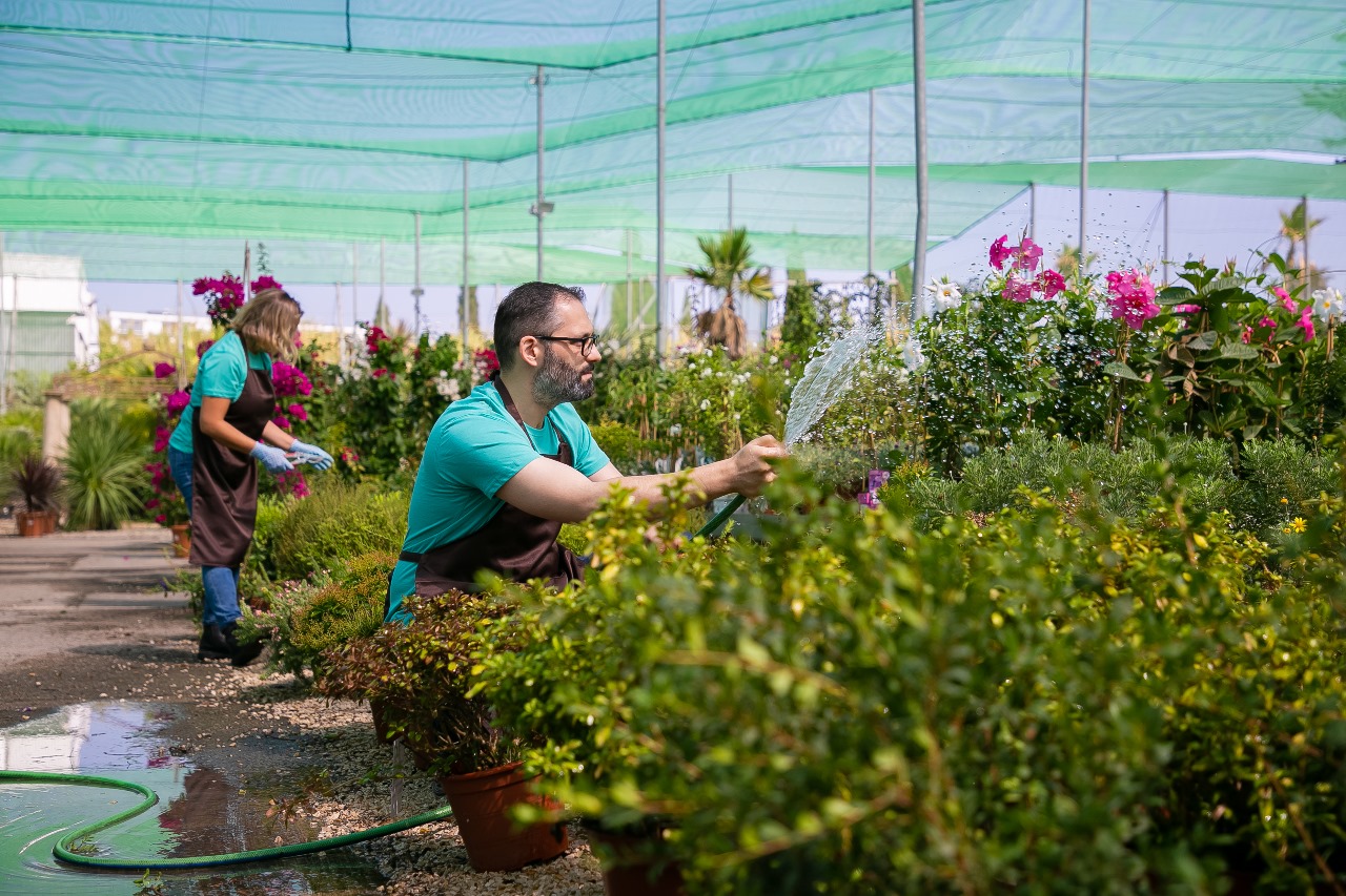 Gardeners